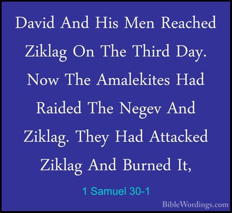 1 Samuel 30 Holy Bible English