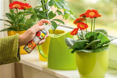 Neudorff Bio Trissol Plus Blumen Dünger 1 l kaufen bei OBI