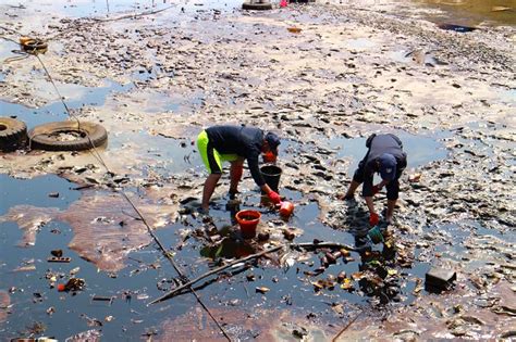 DPR Desak Pertamina Serius Tangani Tumpahan Minyak Di Teluk Balikpapan