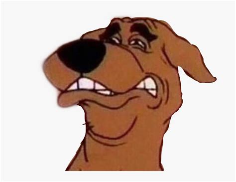 Meme Memes Disgusted Disgusting Scoobydoo Scooby Doo Scooby Doo