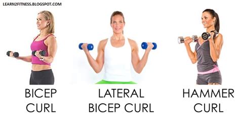 Bicep Curl Variations And Types Dumbbells And More Atelier Yuwaciaojp