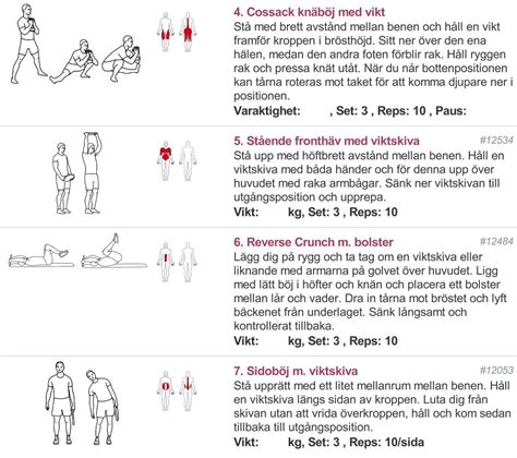 Tr Ningsprogram Med Viktplatta Vningar F R Hela Kroppen Anna
