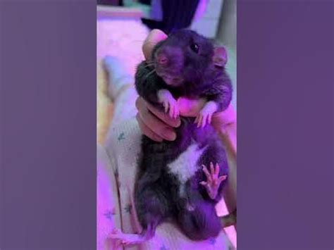 Кудряш Боря🥰 - YouTube
