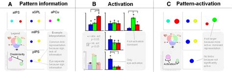 Movement Of Foot Semantic Scholar