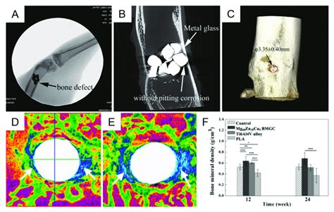 X Ray A µ Ct B And 3d Reconstruction Photographs C Of Mg 69 Zn Download Scientific