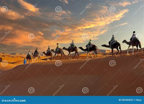 Camel Caravan Going Through The Sahara Desert In Morocco At Sunset