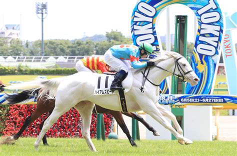 【新馬東京5r】ソダシのいとこ、白毛のハイアムズビーチがデビューv 競馬ニュースなら「競馬のおはなし」