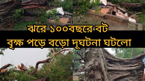 মোক্বা ঝড়ে বড়ো দূরঘনা হলো ১০০বছরের বট গাছ পড়ে মন্দির ভেঙ্গে গেলো