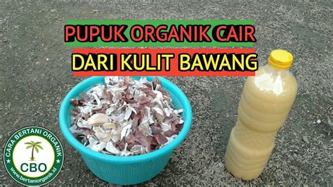 Membuat Pupuk Organik Cair Dari Nasi Basi Making Liquid Organic