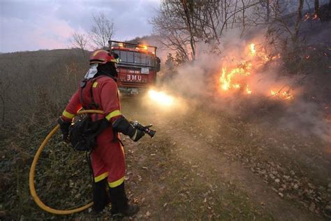 Incendi Boschivi Il Dramma Non Si Ferma Ancora Pi Di Interventi