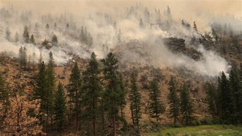 Idahos Moose Fire Grows To 56049 Acres Predicted Containment Remains