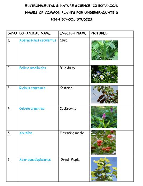 SOLUTION: 20 botanical names of common plants for environmental science ...