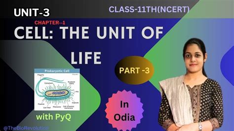 Cell The Unit Of Life Prokaryotic Cell Part Class Th Chse Cbse