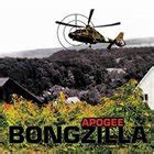 BONGZILLA discography (top albums) and reviews