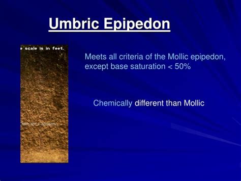 Ppt Soil Morphology And Classification Powerpoint Presentation Id