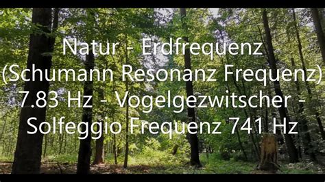 Natur Erdfrequenz Schumann Resonanz 7 83 Hz Vogelgezwitscher