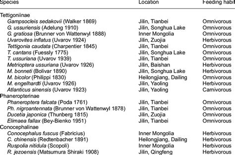 List of twenty Chinese Tettigoniidae species examined with their ...