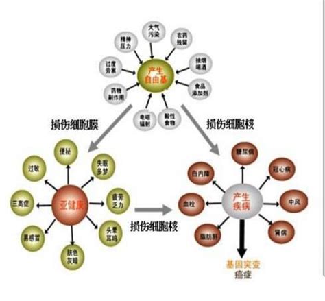 走进自由基的秘密 知乎