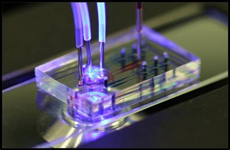 Droplet Based Microfluidics