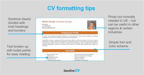 Consultant Cv Examples Guide Get Noticed