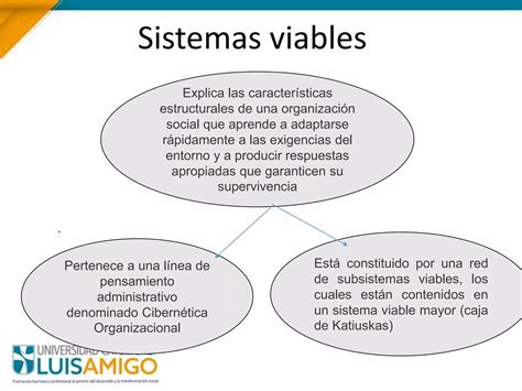 Modelo Sistemas Viables Ppt