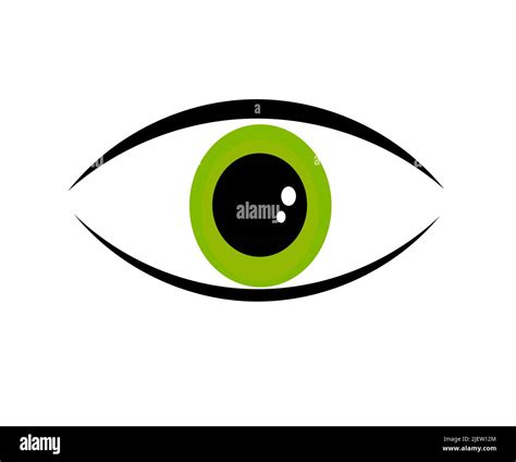 Human green eye. Vector illustration Stock Vector Image & Art - Alamy