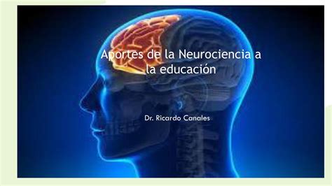 Aporte De Las Neurociencias A La Educaci N Daniel Eduardo Udocz