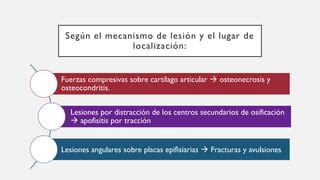 Apofisitis Por Tracci N Ppt