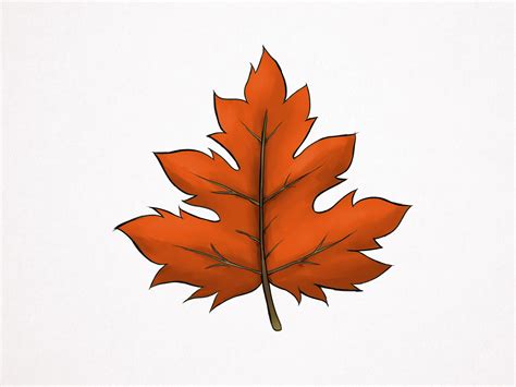 Images Of Leaves To Draw