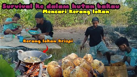 Survival Ke Dalam Hutan Bakau Mencari Kerang Lokan Goreng Lokan