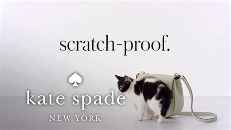 The Cameron Street Collection Cats And Byrdies Kate Spade New York Youtube