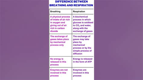 Difference Between Breathing And Respiration Class 10 Science Biology Ch 5 Life Processes