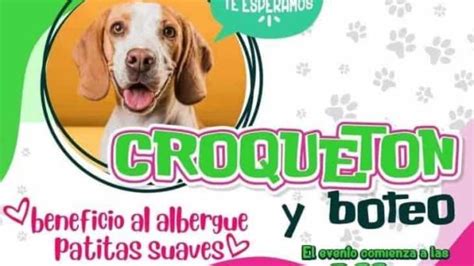 Invitan Al Croquet N En Xalapa Este Domingo