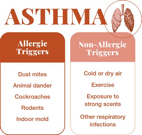 Allergic Asthma Causes Symptoms And Testing Allergy Insider