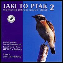 Jaki To Ptak Volume 1 Various Artists Muzyka Sklep EMPIK