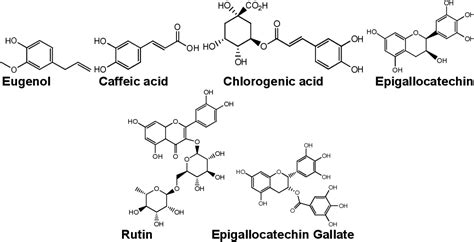 Figure 3 From Phyto Chemistry And Pharmacological Activities Of