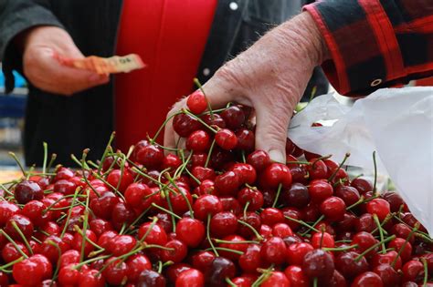 Slobodna Dalmacija Na Splitskom Virtualnom Pazaru Ovjek Nudio