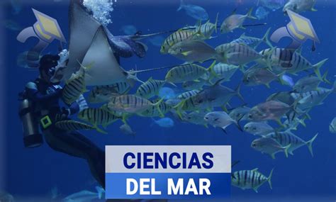 Oceanolog A Gu A De Carrera Para Estudiantes