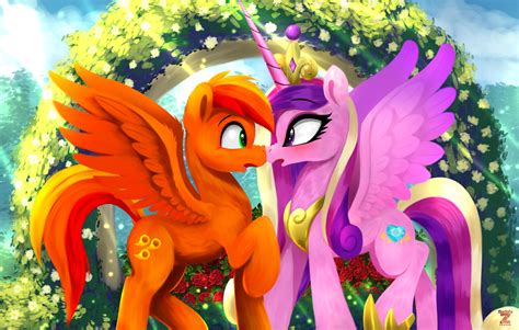 Princess Cadence Mlp Royal My Little Pony Fandoms Funny