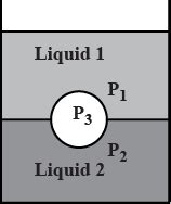 A Jar Is Filled With Two Non Mixing Liquids And Having Densities