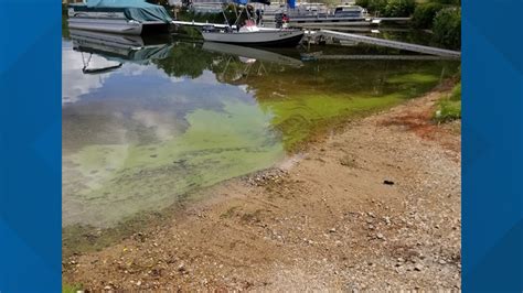 Blue Green Algae Bloom Found In Popular New Hampshire Lake