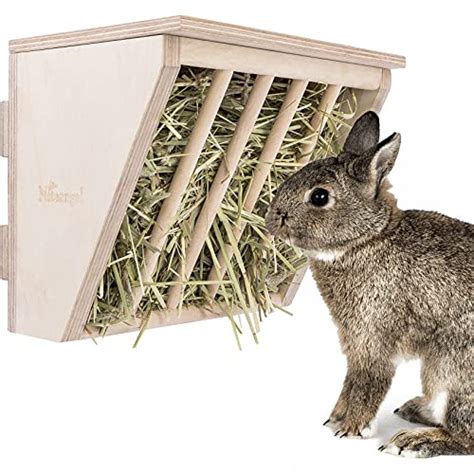 Best Rabbit Hay Feeder: Our Eight Favourite Picks of 2022 - LittleFurryPets