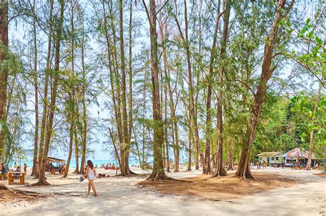 Bamboo Island in Phi Phi Archipelago - Island-Hopping around Phi Phi ...