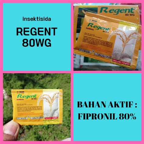 Jual Regent 80 WG 1 6 Gr Insektisida Pembasmi Hama Ulat Kutu Putih