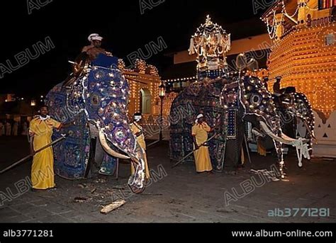 Decorated elephants, Dalada group with sacred elephant Maligawa Raja, carrying Sacred Tooth ...