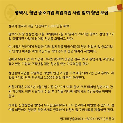 청년 일자리 지원정책 평택시공익활동지원센터