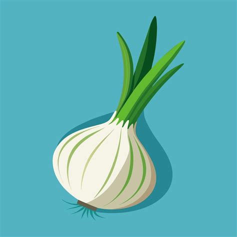 Scallion Clip Art Black White Vectors And Illustrations For Free Download