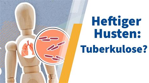 Tuberkulose Häufigkeit Diagnostik und Therapie YouTube