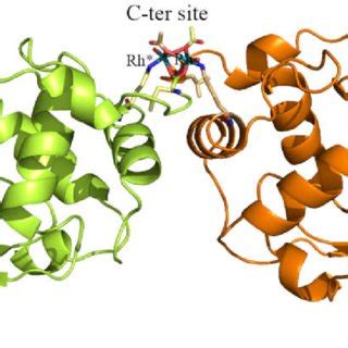 Recommended Atom Identifiers For The Common Amino Acids Follow The