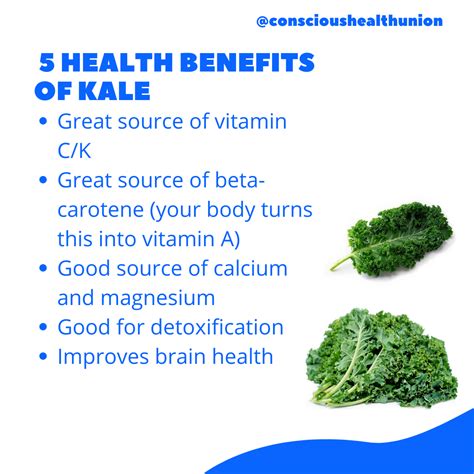 Kale Health Benefits | Kale benefits health, Health food, Green superfood